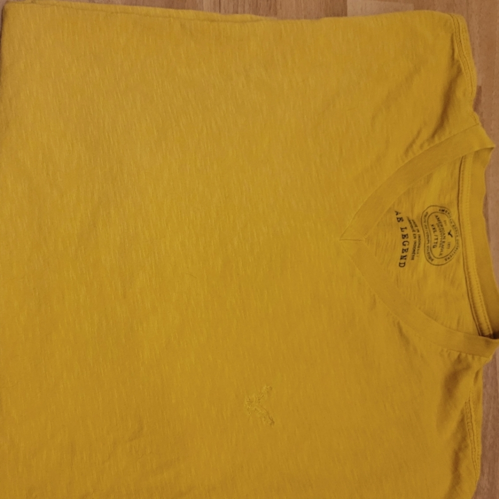 Short Sleeved V-Neck AE Legend Tee